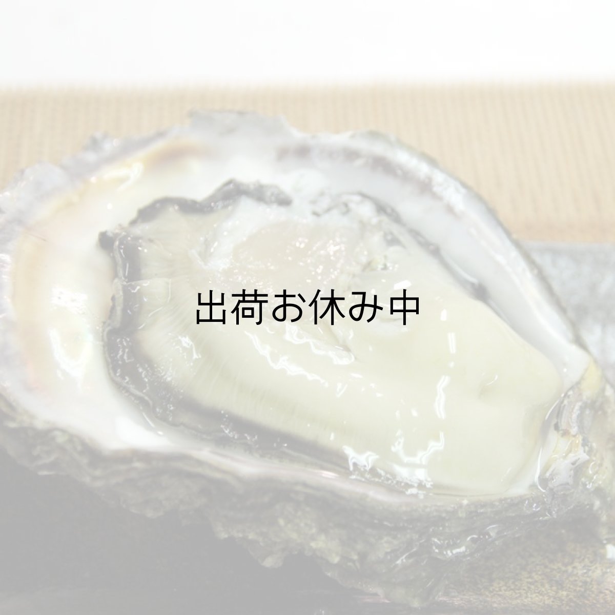 画像6: 福井小浜産　天然岩牡蠣 (6)