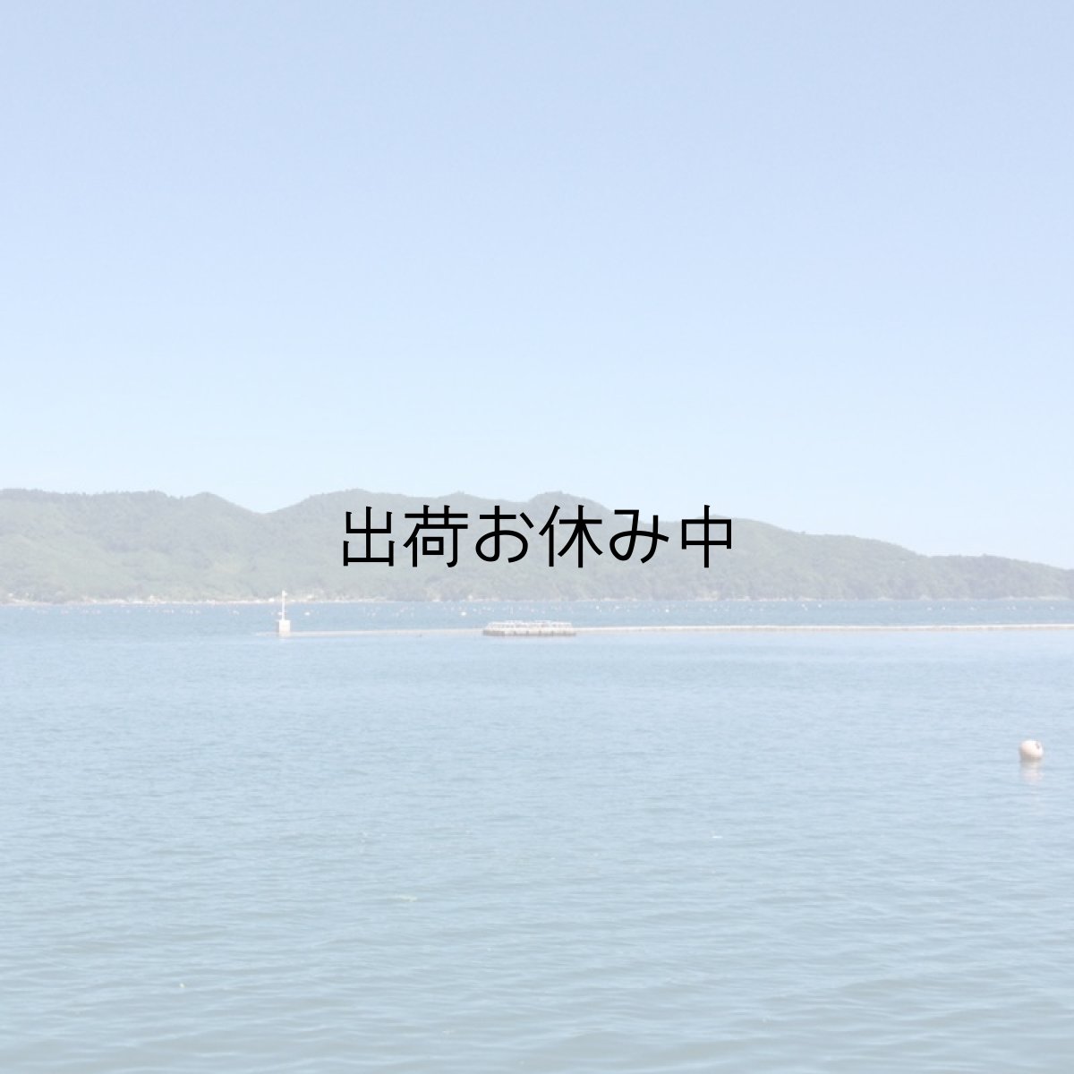 画像2: 三陸雄勝産　牡蠣ガンガン焼き (2)