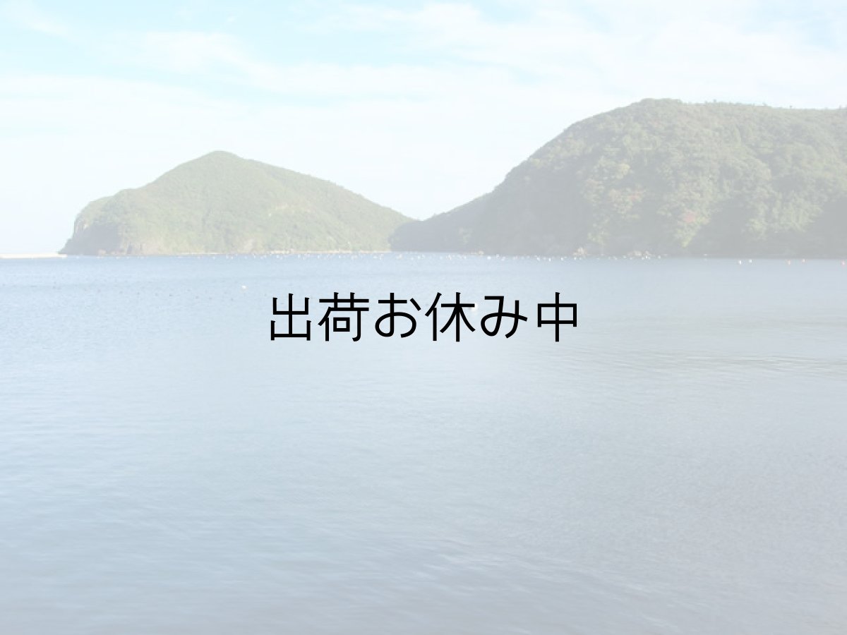画像2: 【お急ぎ便】島根隠岐産 岩牡蠣 春香(お届け地域限定) (2)