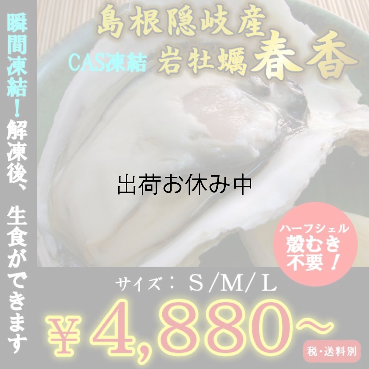 画像1: 島根隠岐産ＣＡＳ凍結岩牡蠣春香 (1)