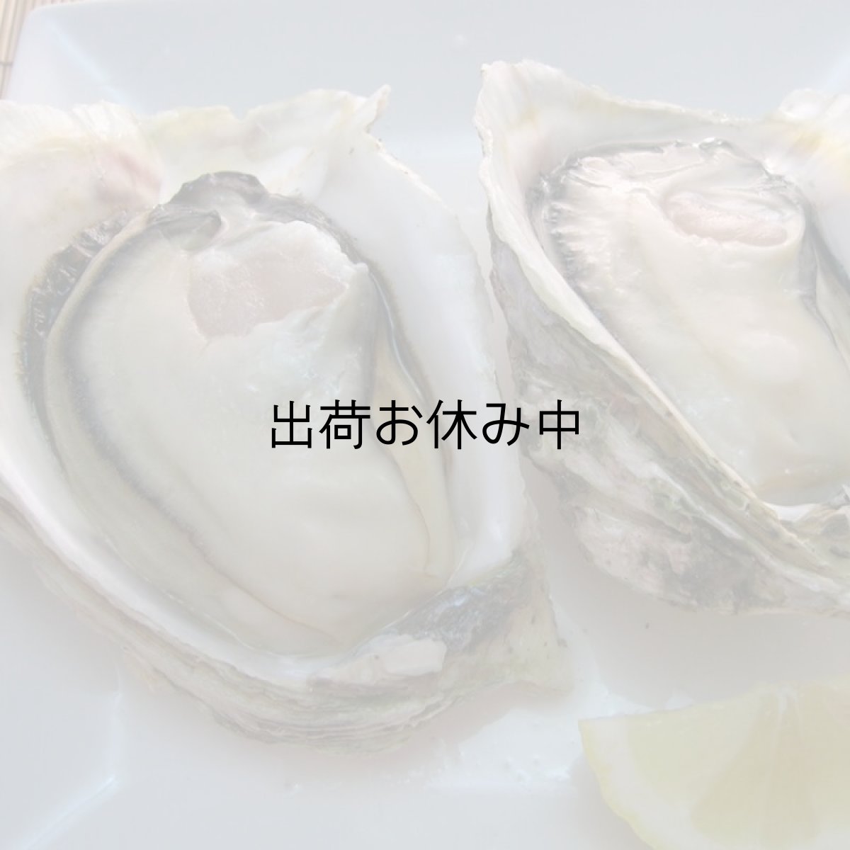 画像5: 島根隠岐産ＣＡＳ凍結岩牡蠣春香 (5)