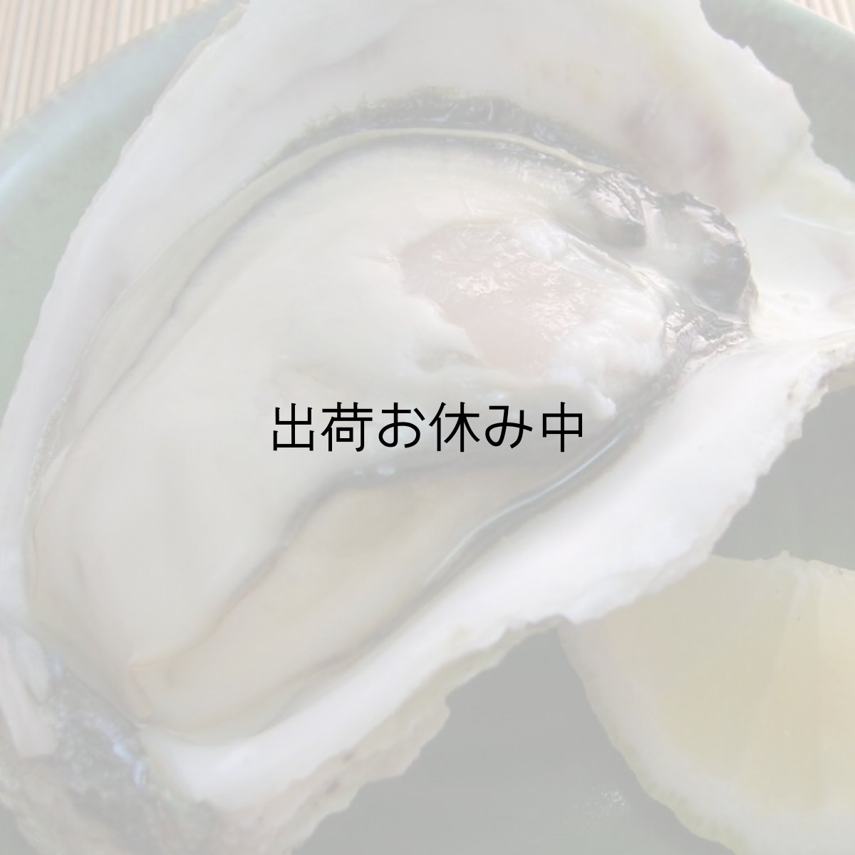 画像9: 島根隠岐産ＣＡＳ凍結岩牡蠣春香 (9)