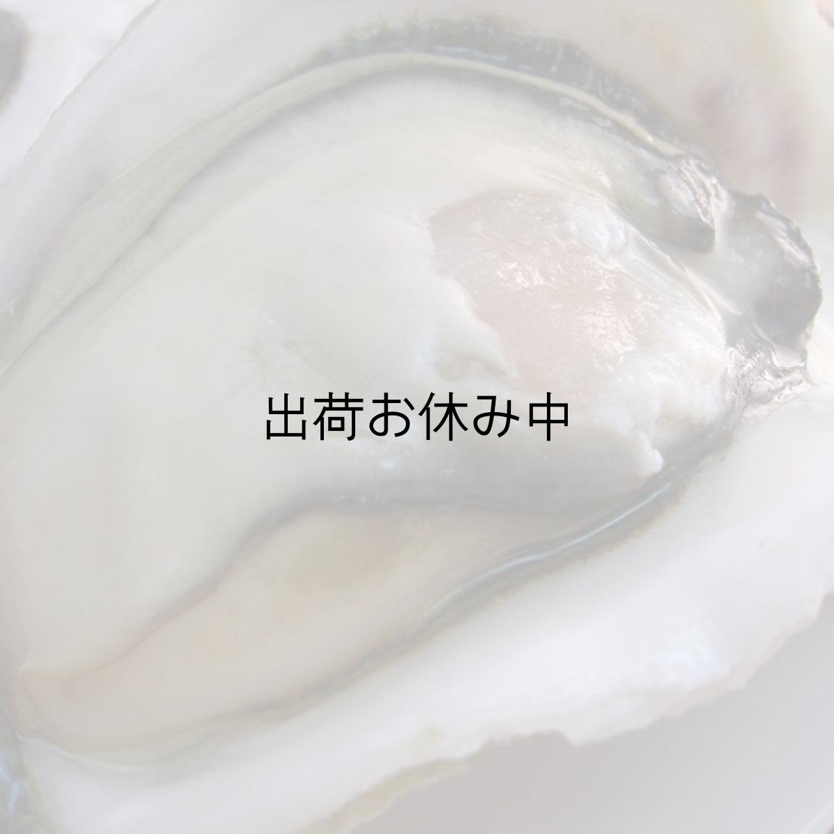 画像3: 島根隠岐産ＣＡＳ凍結岩牡蠣春香 (3)
