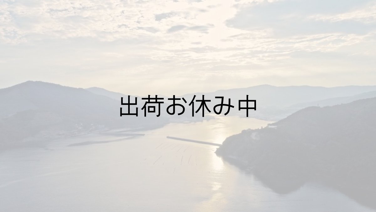 画像4: 三陸女川産　シングルシード牡蠣 (4)