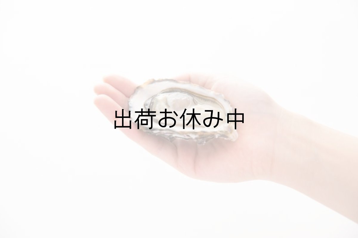 画像2: 三陸女川産　シングルシード牡蠣 (2)