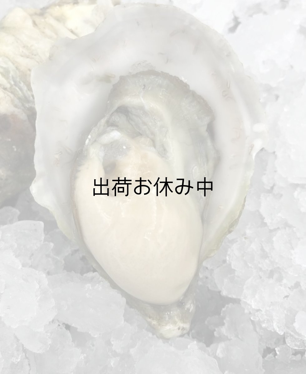 画像3: 三陸女川産　シングルシード牡蠣 (3)