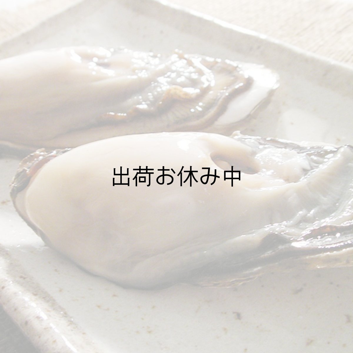 画像3: 北海道温根沼産　殻付牡蠣 (3)