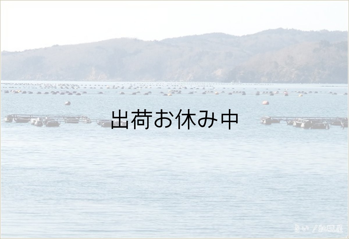 画像2: 三陸牡鹿半島産　むき身牡蠣 (2)