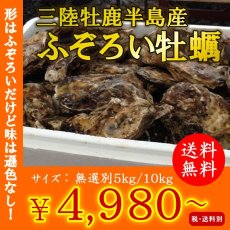 画像1: お急ぎ便　三陸産ふぞろい牡蠣 (1)