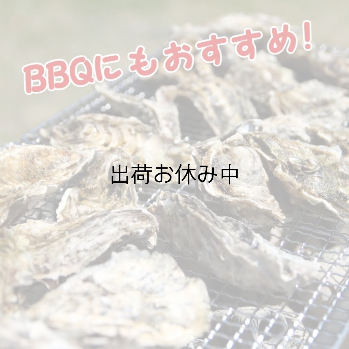画像2: 三陸広田湾産　冷凍ふぞろい牡蠣　 (2)