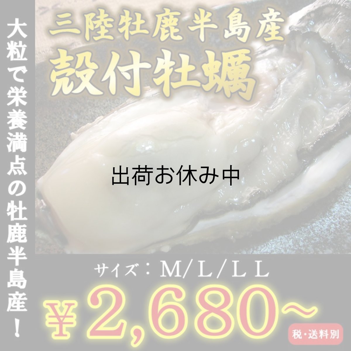 画像1: お急ぎ便　三陸産殻付牡蠣 (1)