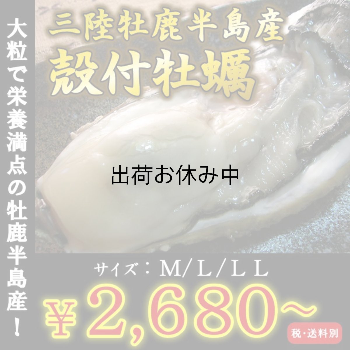 画像1: 三陸牡鹿半島産　殻付牡蠣 (1)