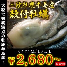 画像1: 三陸牡鹿半島産　殻付牡蠣 (1)