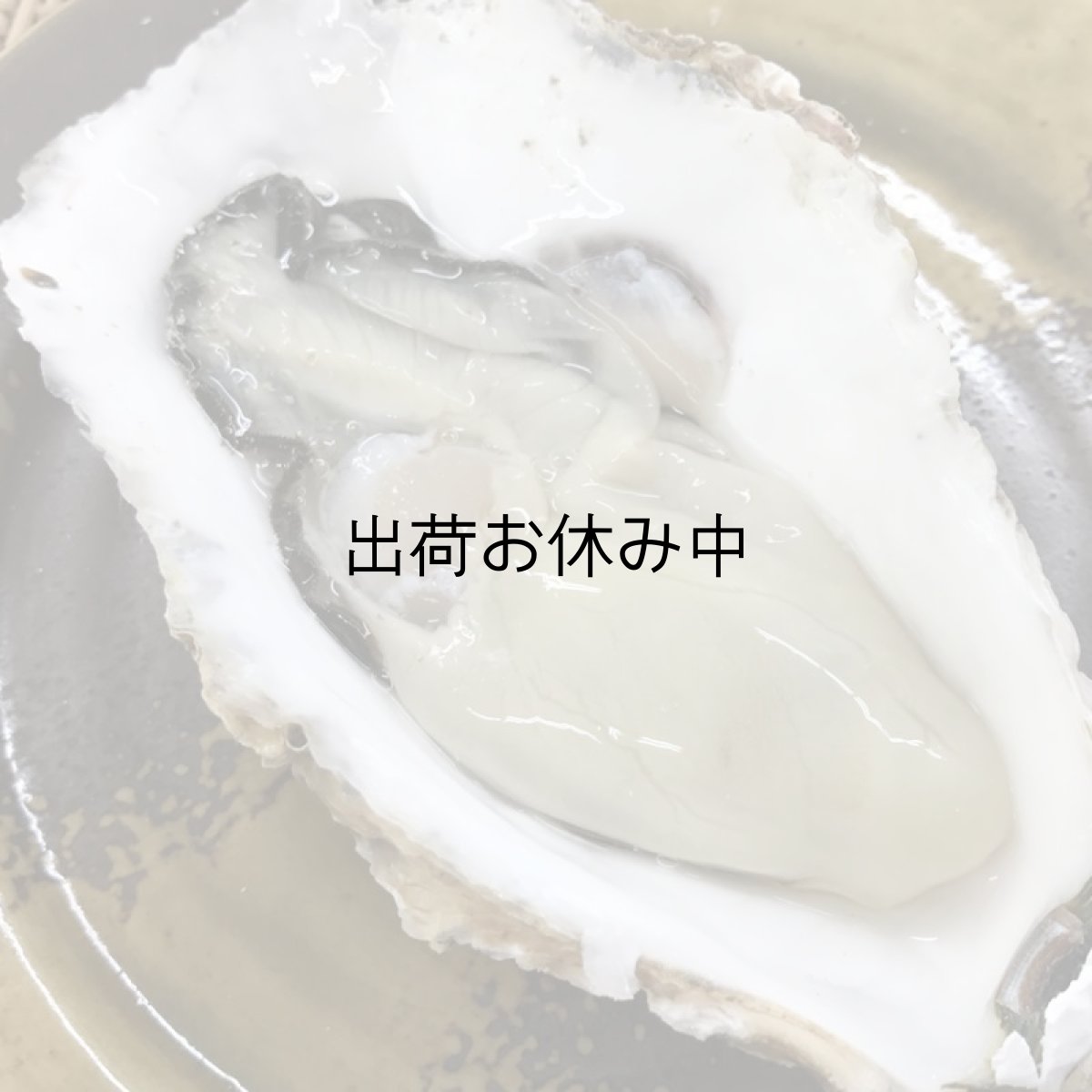 画像5: お急ぎ便 三陸産殻付牡蠣 (5)