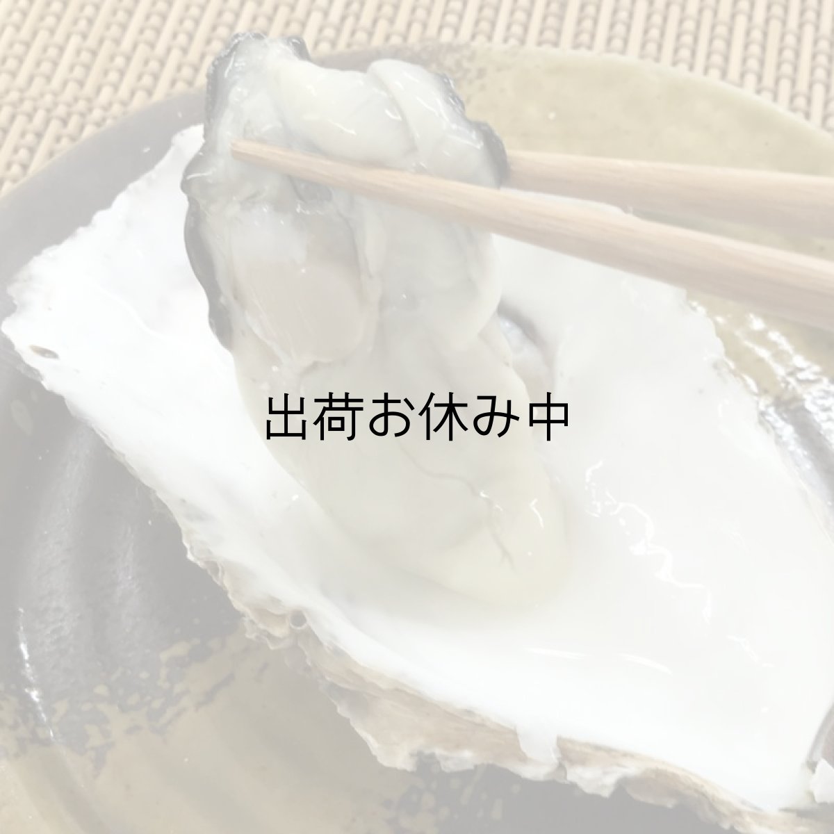 画像6: 三陸牡鹿半島産　殻付牡蠣 (6)