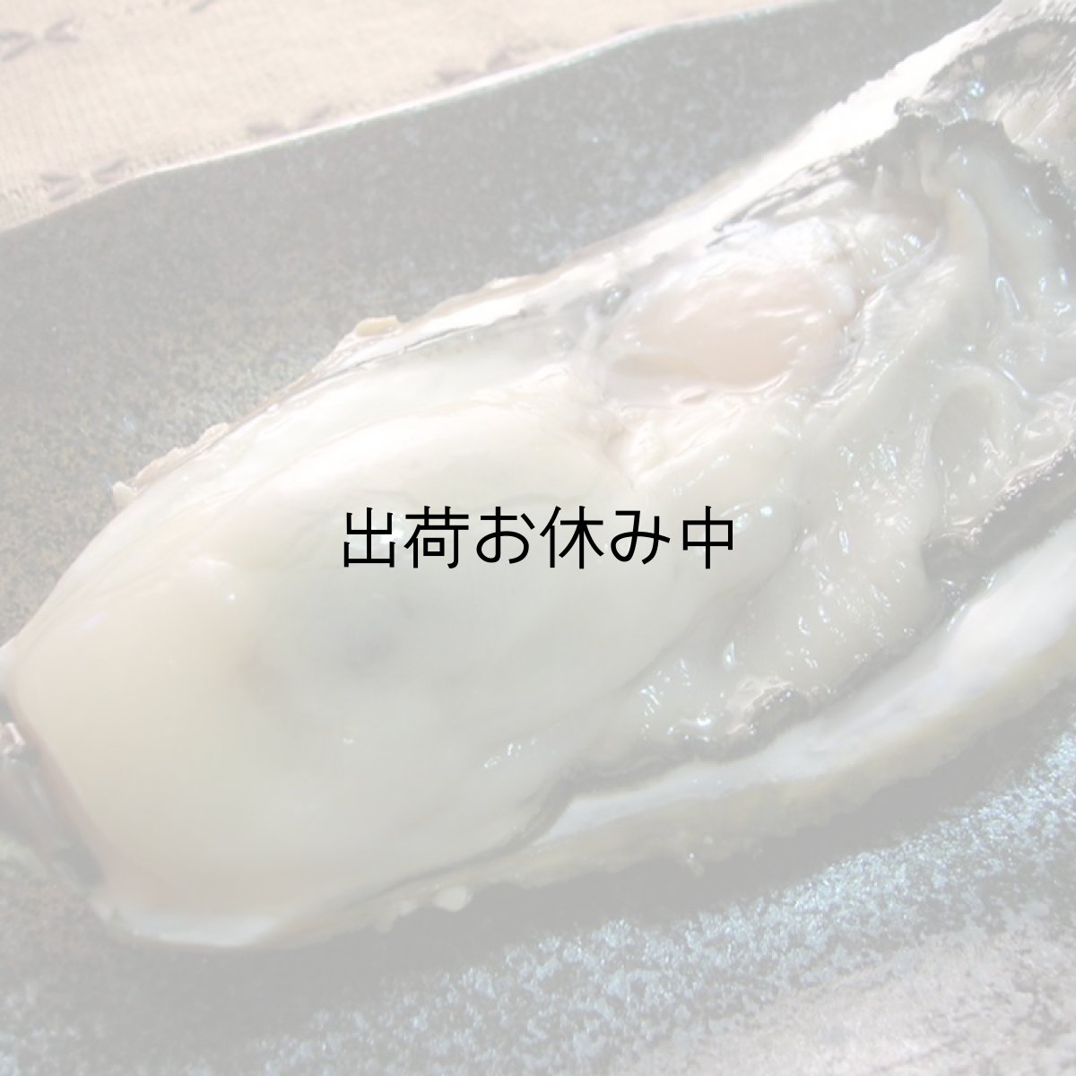 画像7: 三陸牡鹿半島産　殻付牡蠣 (7)