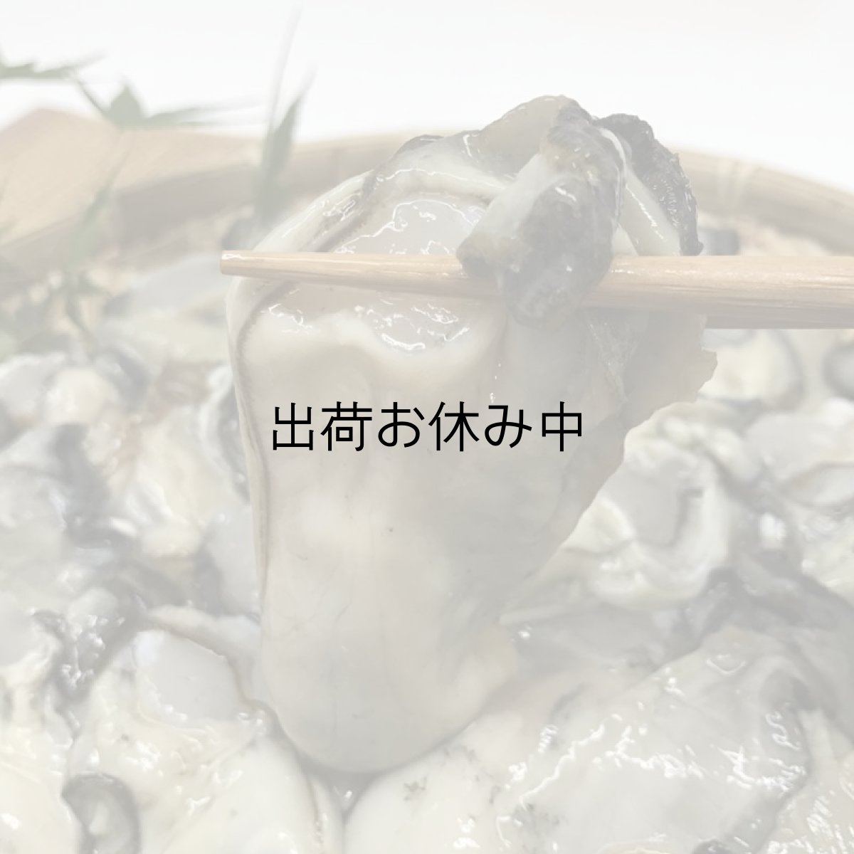 画像3: 三陸牡鹿半島産　むき身牡蠣 (3)