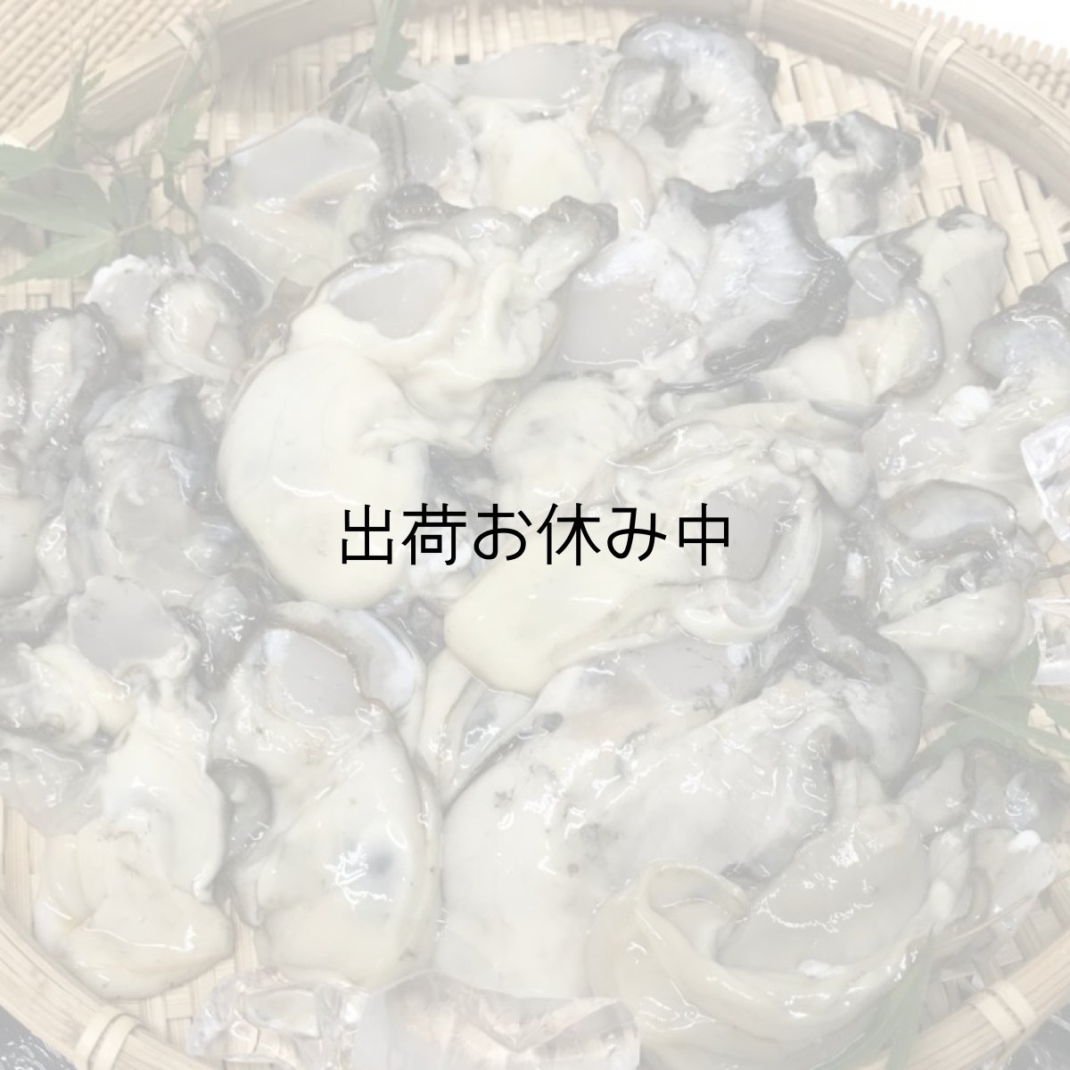 画像4: 三陸牡鹿半島産　むき身牡蠣 (4)