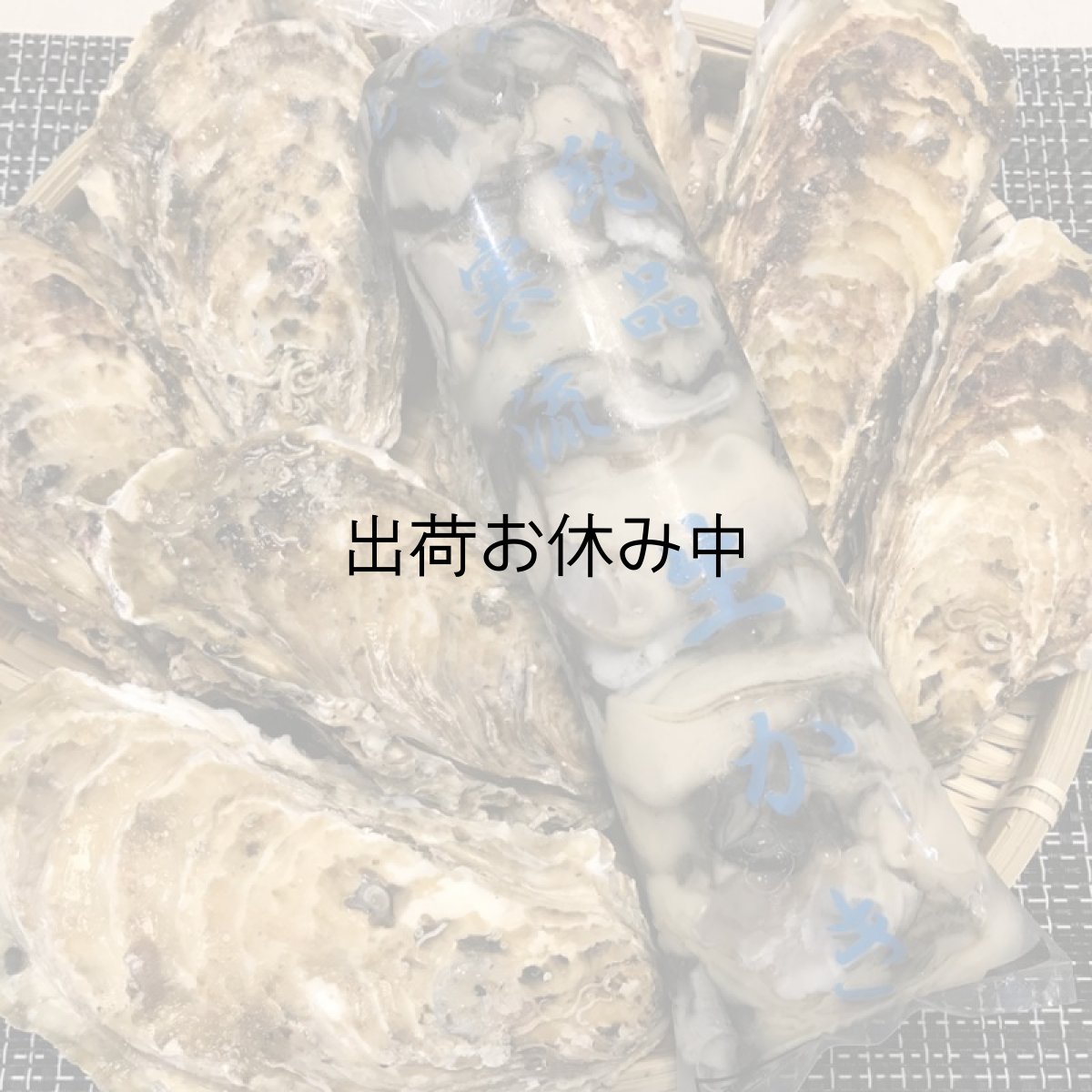 画像2: 三陸牡鹿半島産　殻付＆むき身セット (2)
