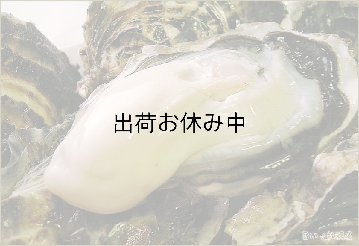 画像2: 北海道サロマ湖産　生食用牡蠣（むき身／殻付） (2)