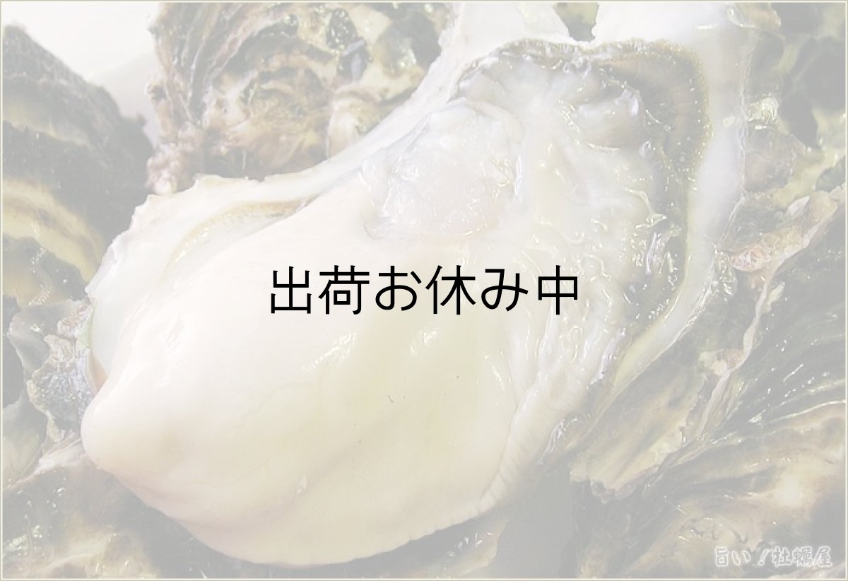 画像3: 北海道サロマ湖産　生食用牡蠣（むき身／殻付） (3)