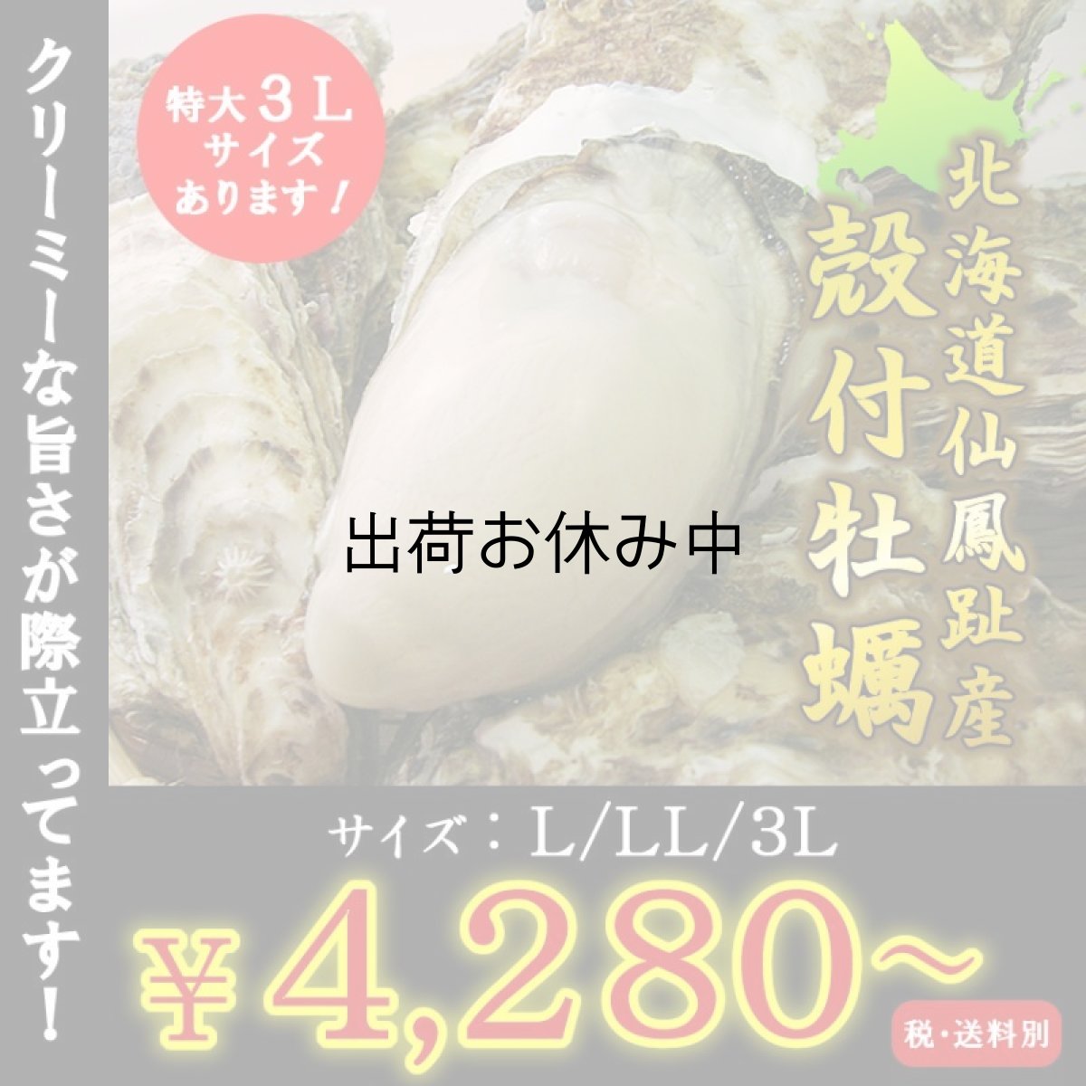 画像1: 北海道仙鳳趾産　殻付牡蠣 (1)