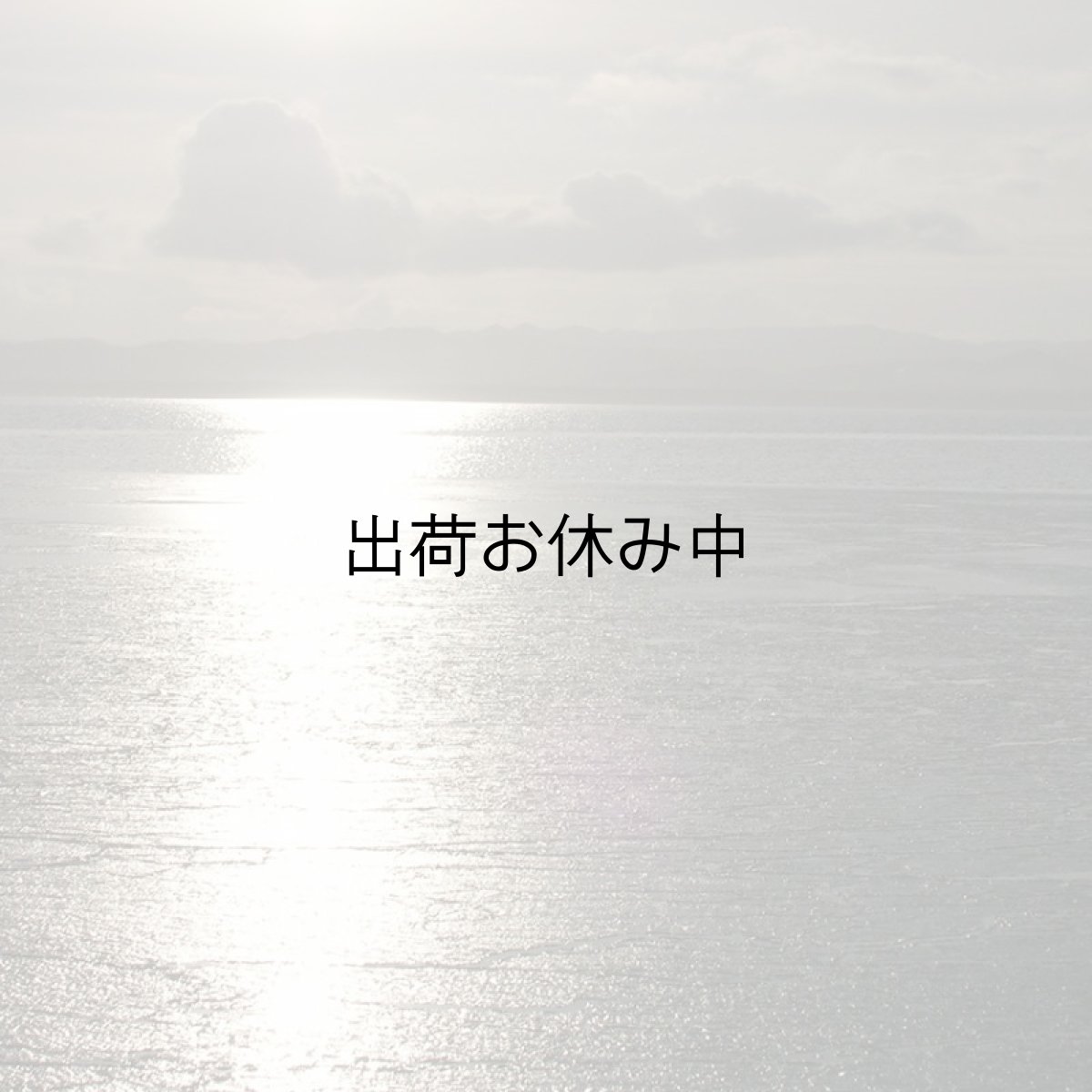 画像9: 北海道仙鳳趾産　殻付牡蠣 (9)