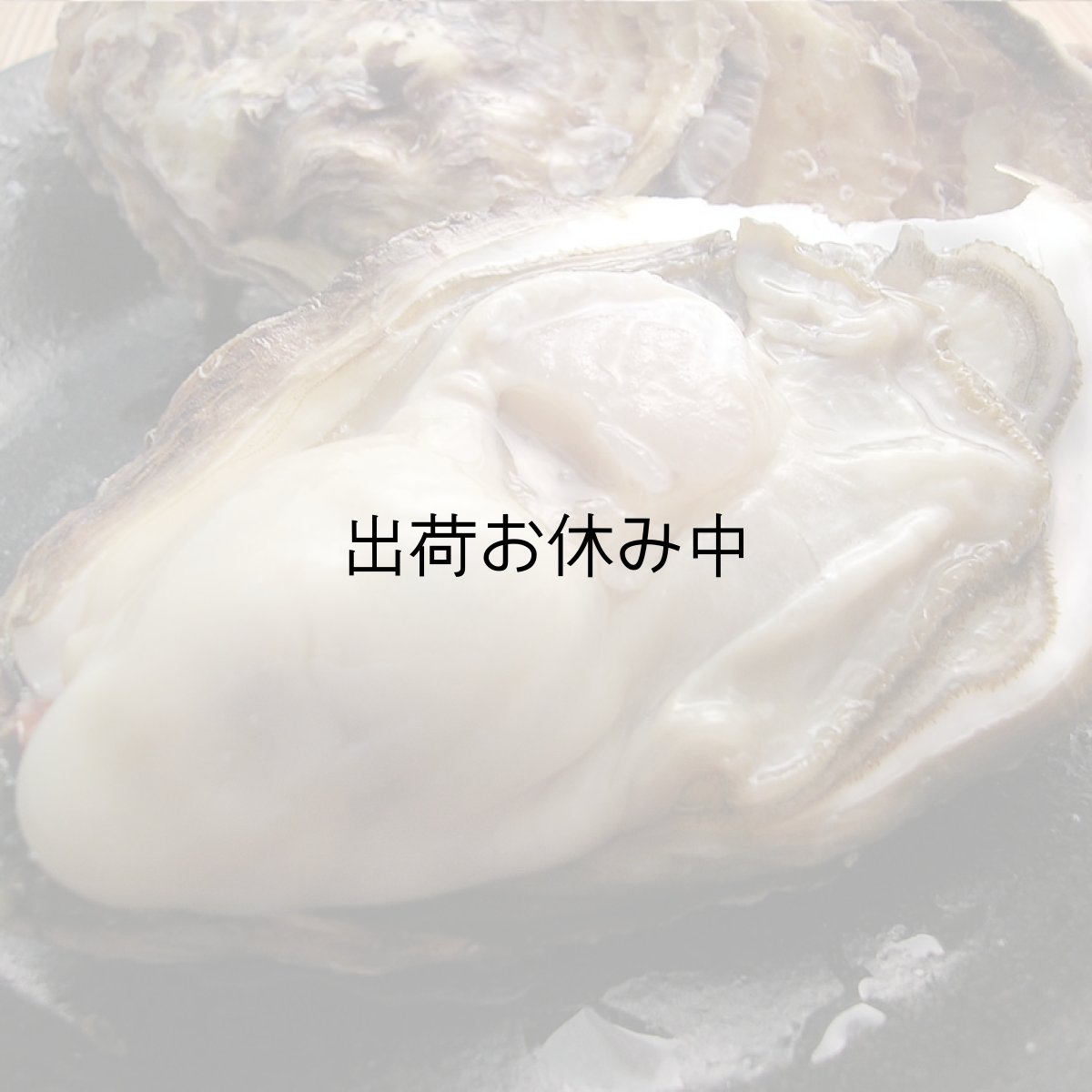 画像6: 三重白石湖産 牡蠣 渡利かき (6)