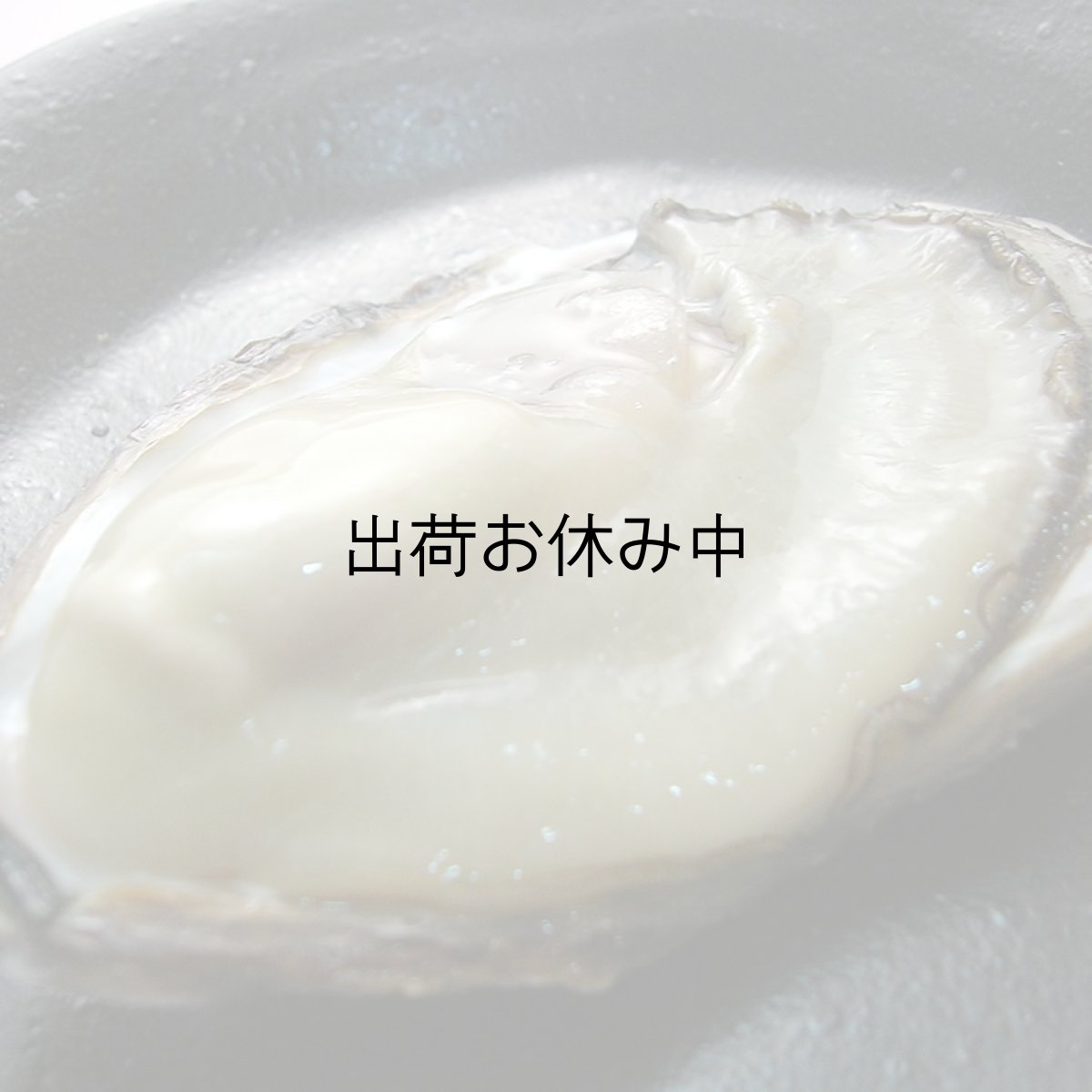 画像3: 三重白石湖産 牡蠣 渡利かき (3)