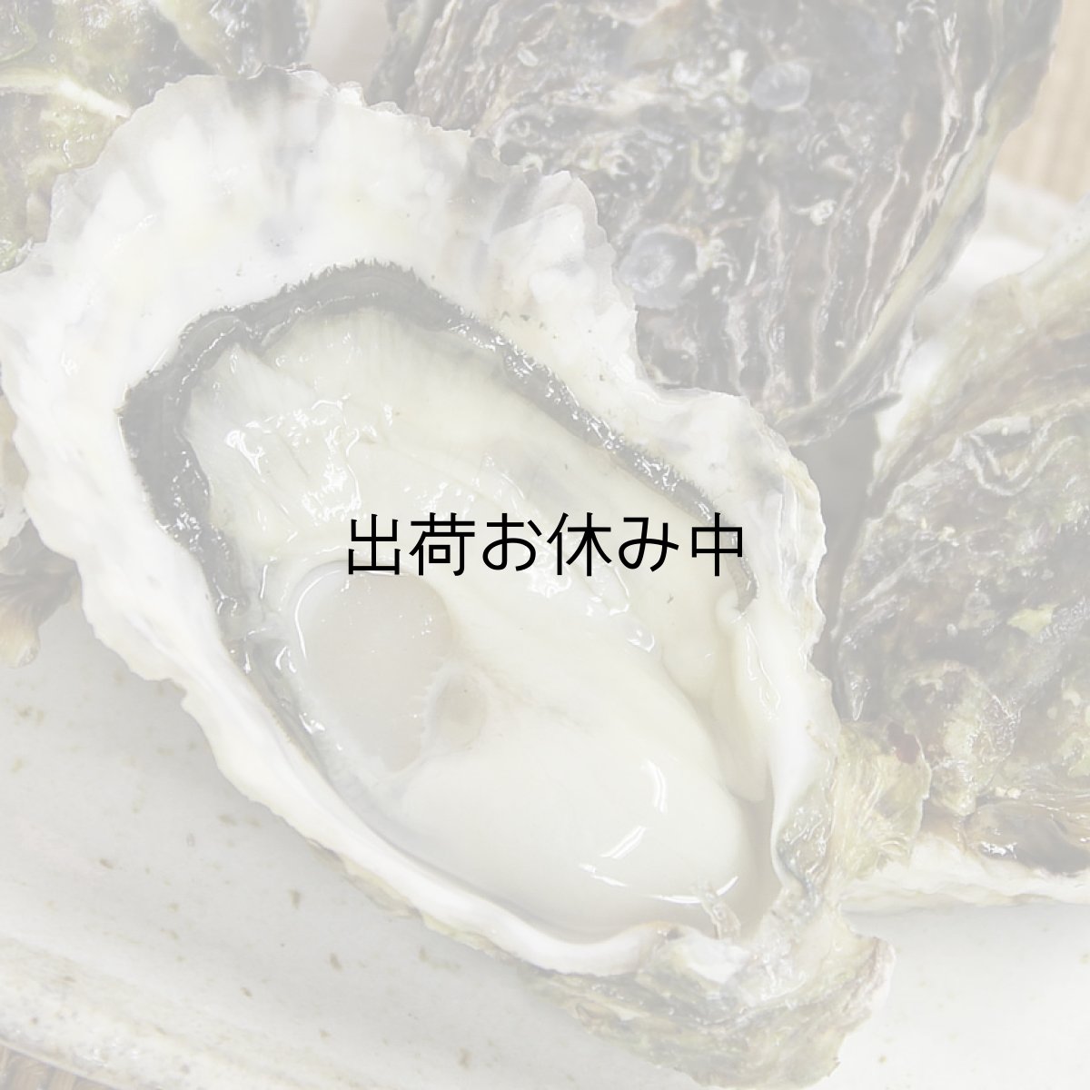 画像2: 三重白石湖産 牡蠣 渡利かき (2)