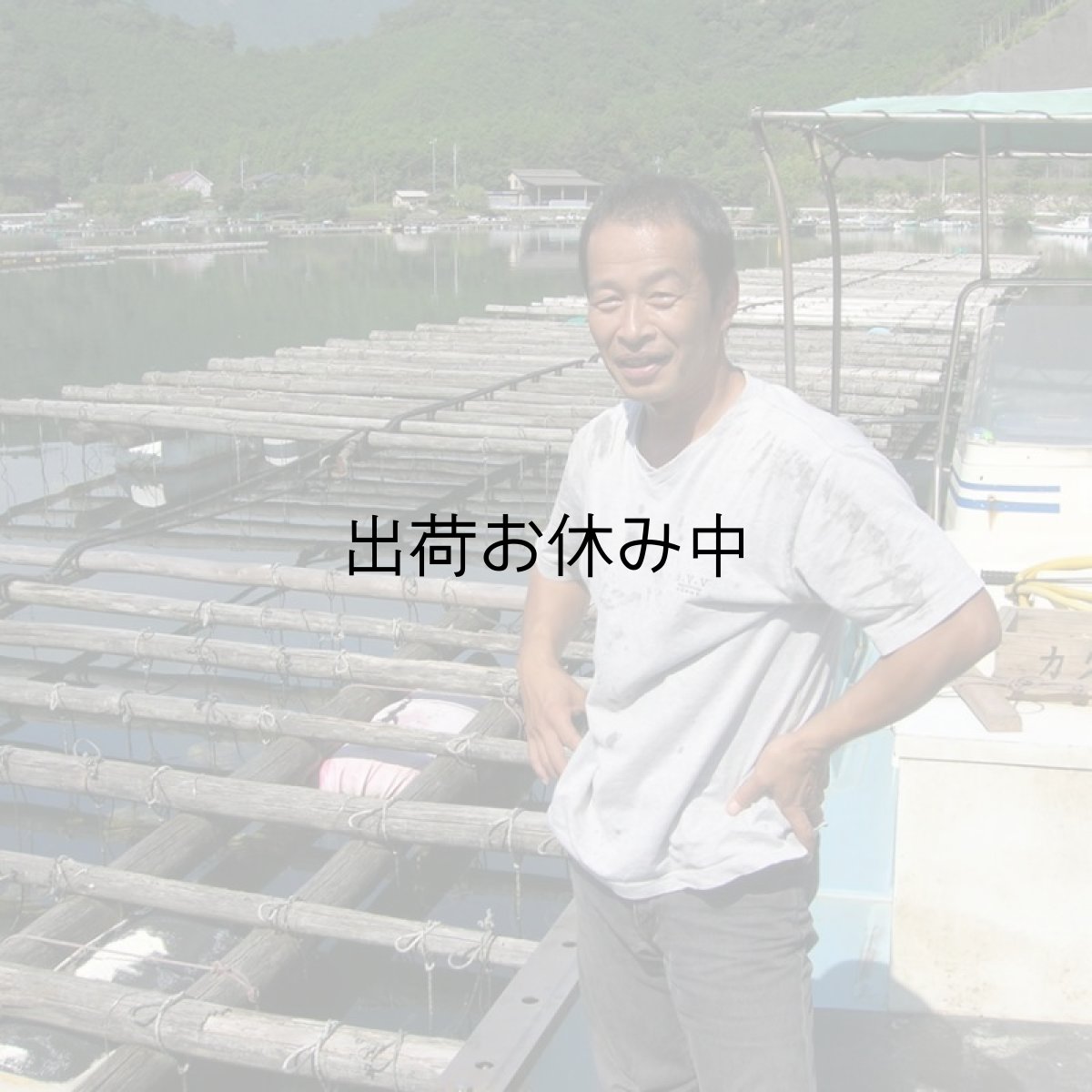 画像10: 三重白石湖産 牡蠣 渡利かき (10)