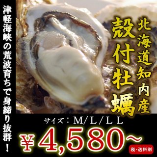 売れ筋ランキング 新鮮な牡蠣の通販専門店 旨い牡蠣屋 売れ筋ランキング 新鮮な牡蠣の通販専門店 旨い牡蠣屋