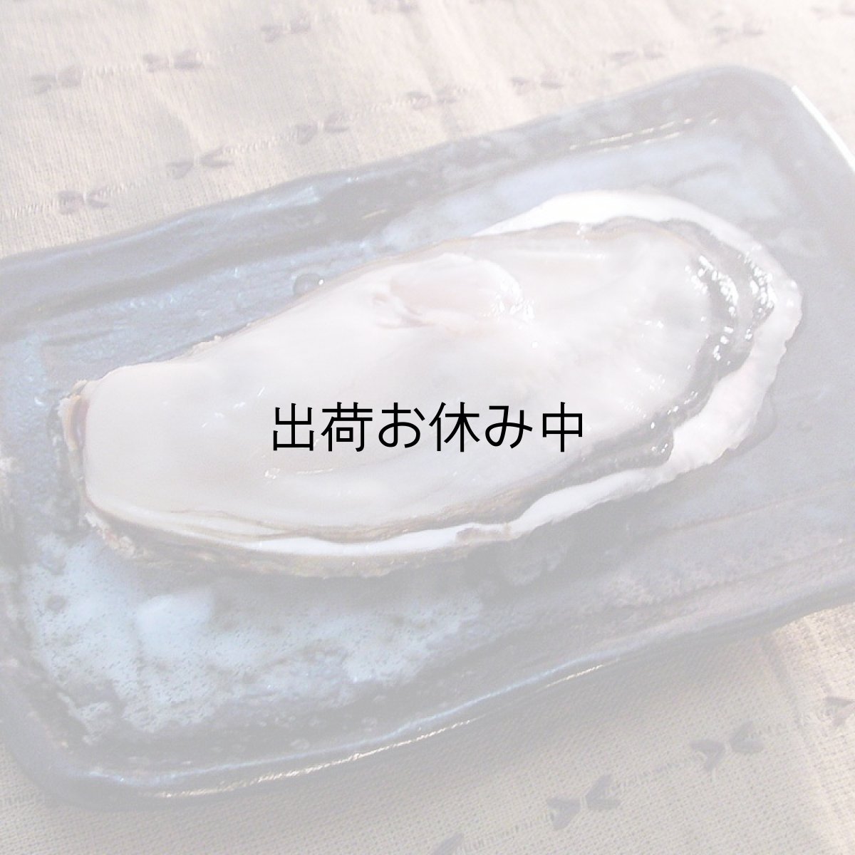 画像4: 北海道知内産　殻付牡蠣 (4)