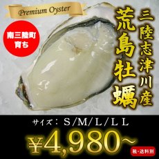 画像1: 【お急ぎ便】三陸志津川産　荒島牡蠣　（お届け地域限定） (1)