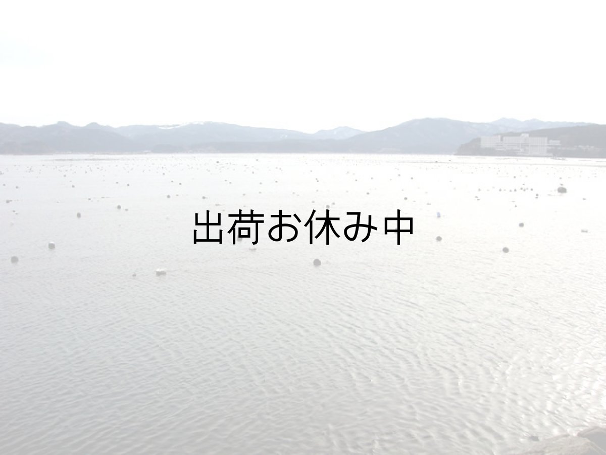 画像9: 三陸産志津川産　バーベキュー用ふぞろい殻付牡蠣 (9)