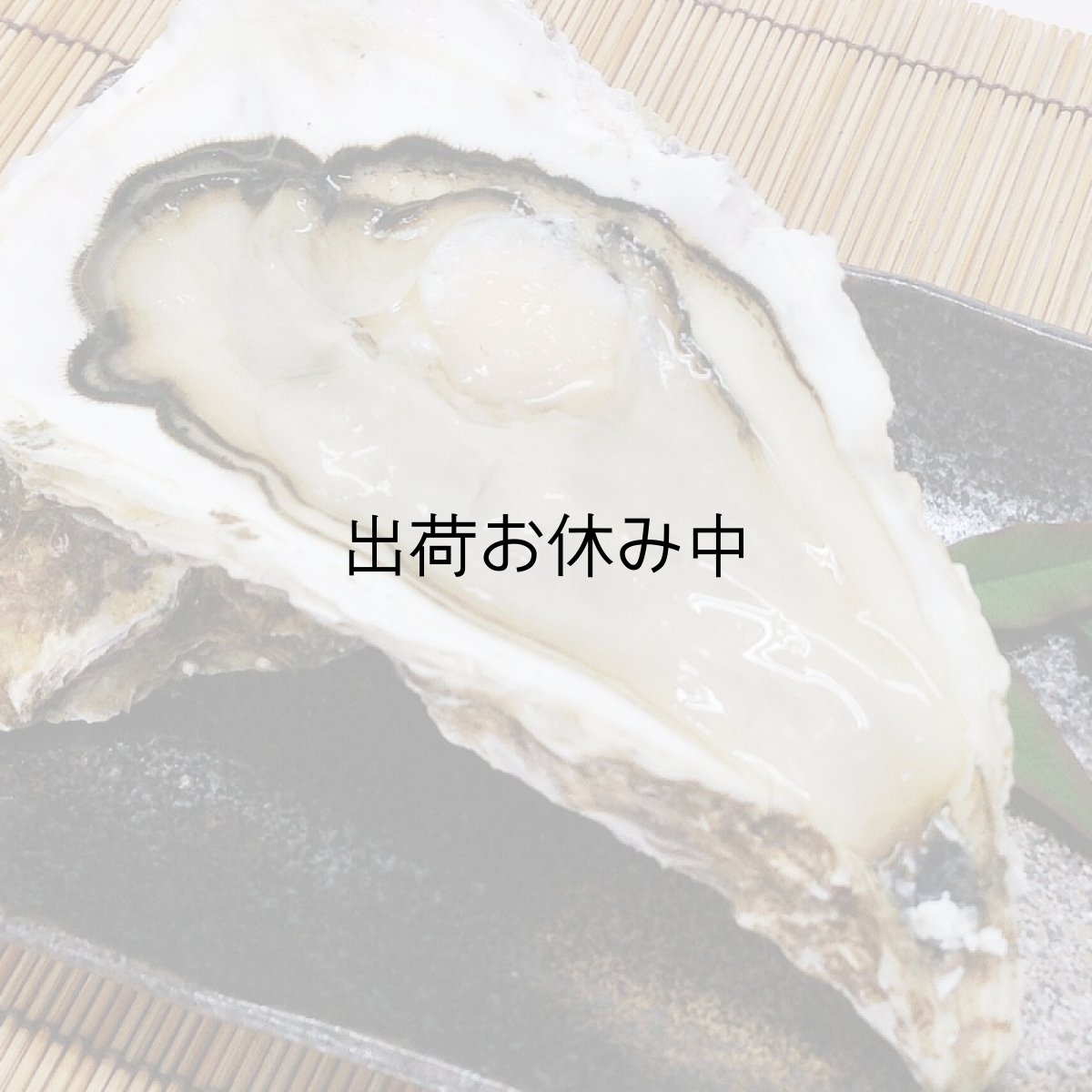 画像3: 三陸志津川産　荒島牡蠣 (3)