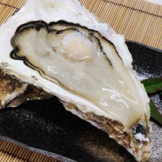 画像3: 【お急ぎ便】三陸志津川産　荒島牡蠣　（お届け地域限定） (3)