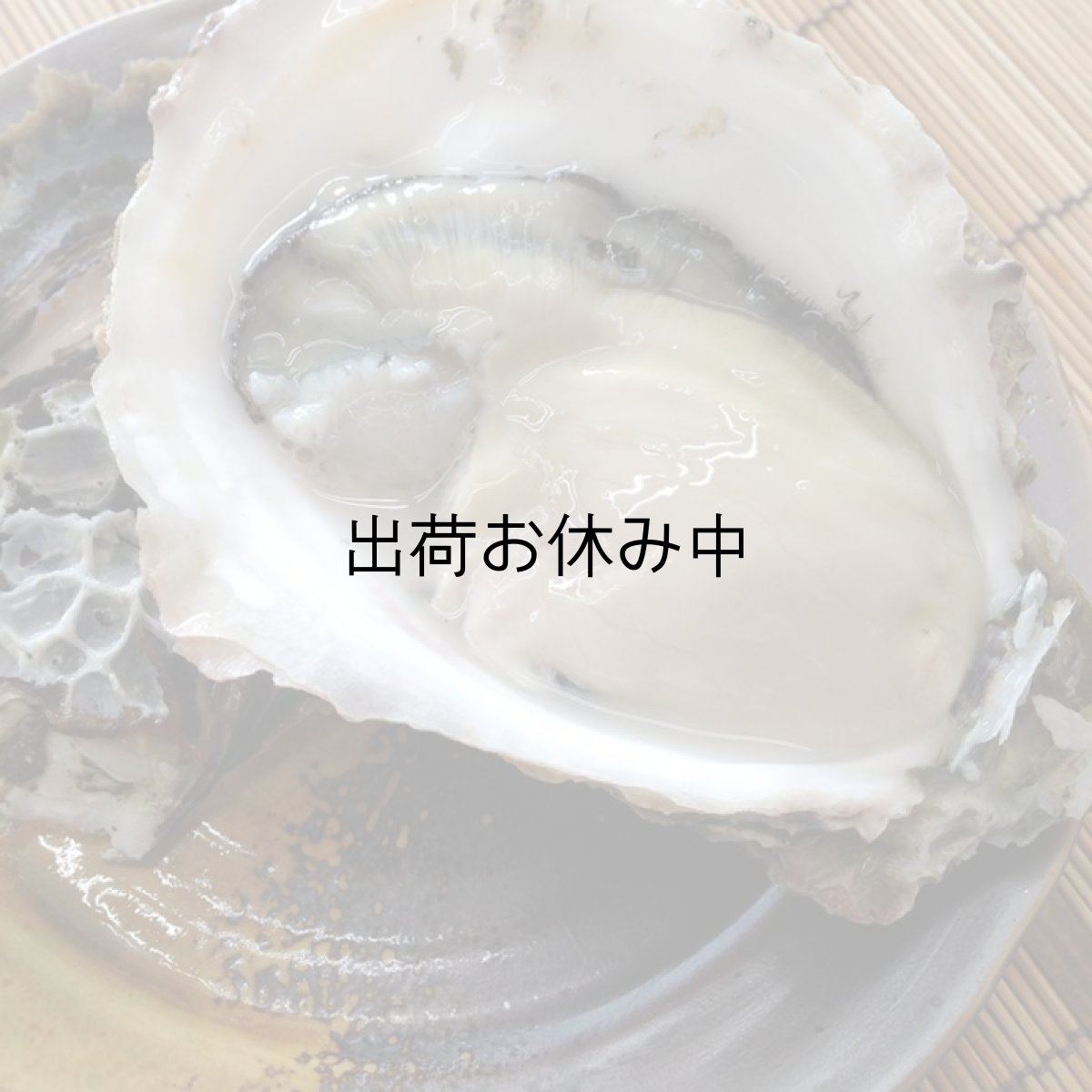 画像5: 鹿児島諸浦島産　天海岩牡蠣 (5)