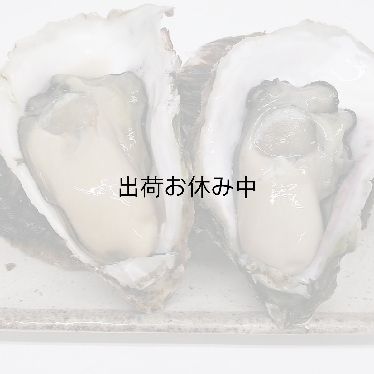 画像4: 鹿児島諸浦島産　天海岩牡蠣 (4)