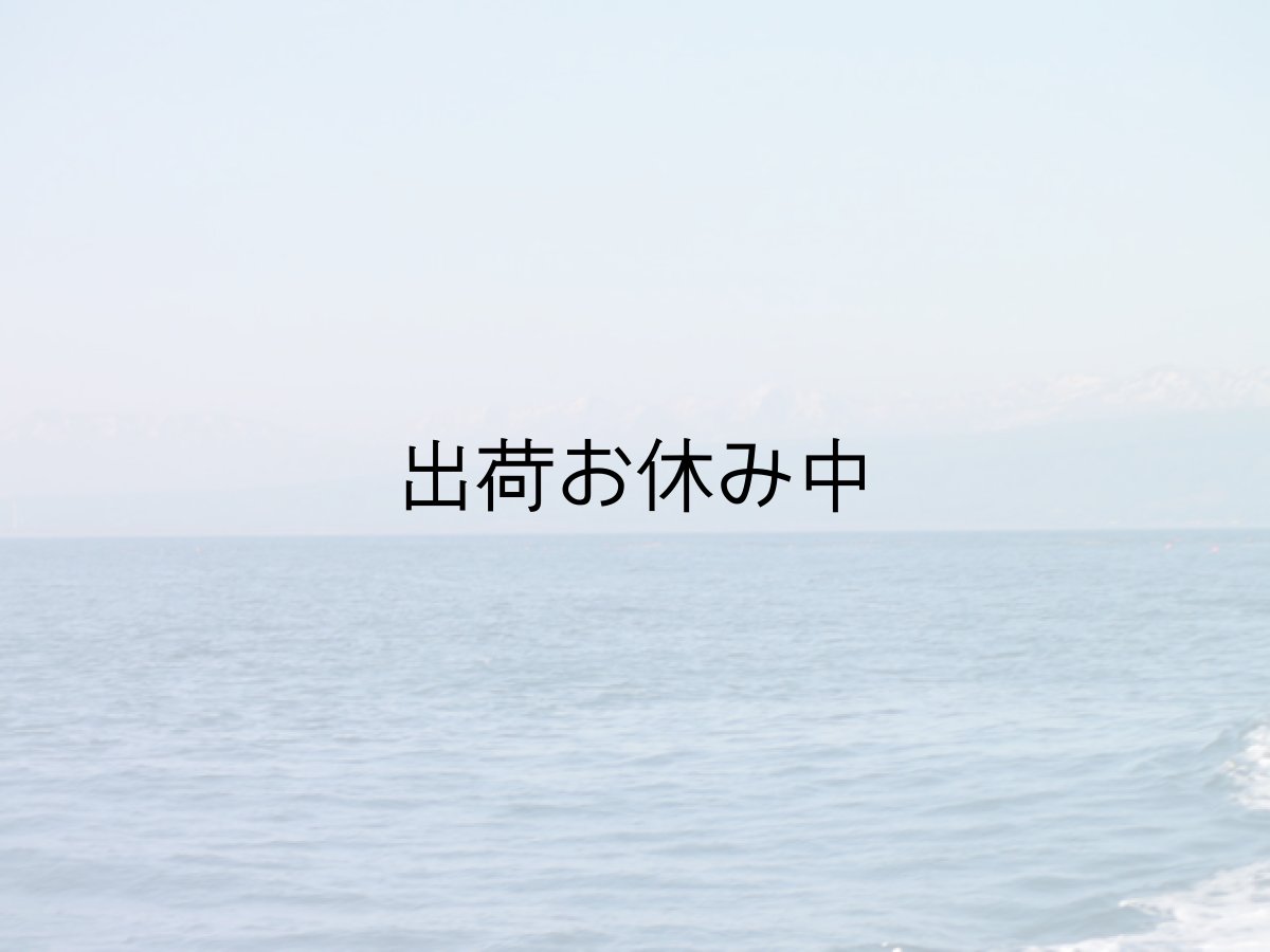 画像5: 北海道寿都産　殻付牡蠣　寿牡蠣 (5)