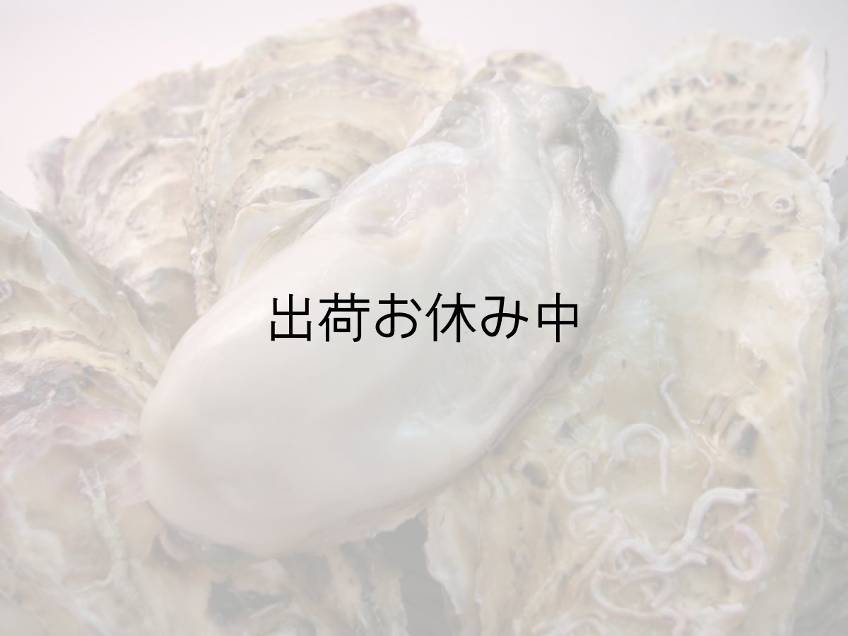 画像4: 北海道寿都産　殻付牡蠣　寿牡蠣 (4)