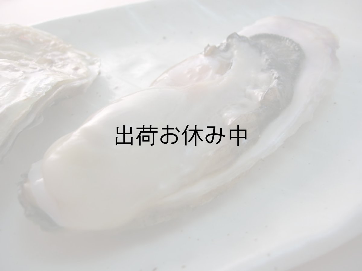 画像3: 北海道寿都産　殻付牡蠣　寿牡蠣 (3)