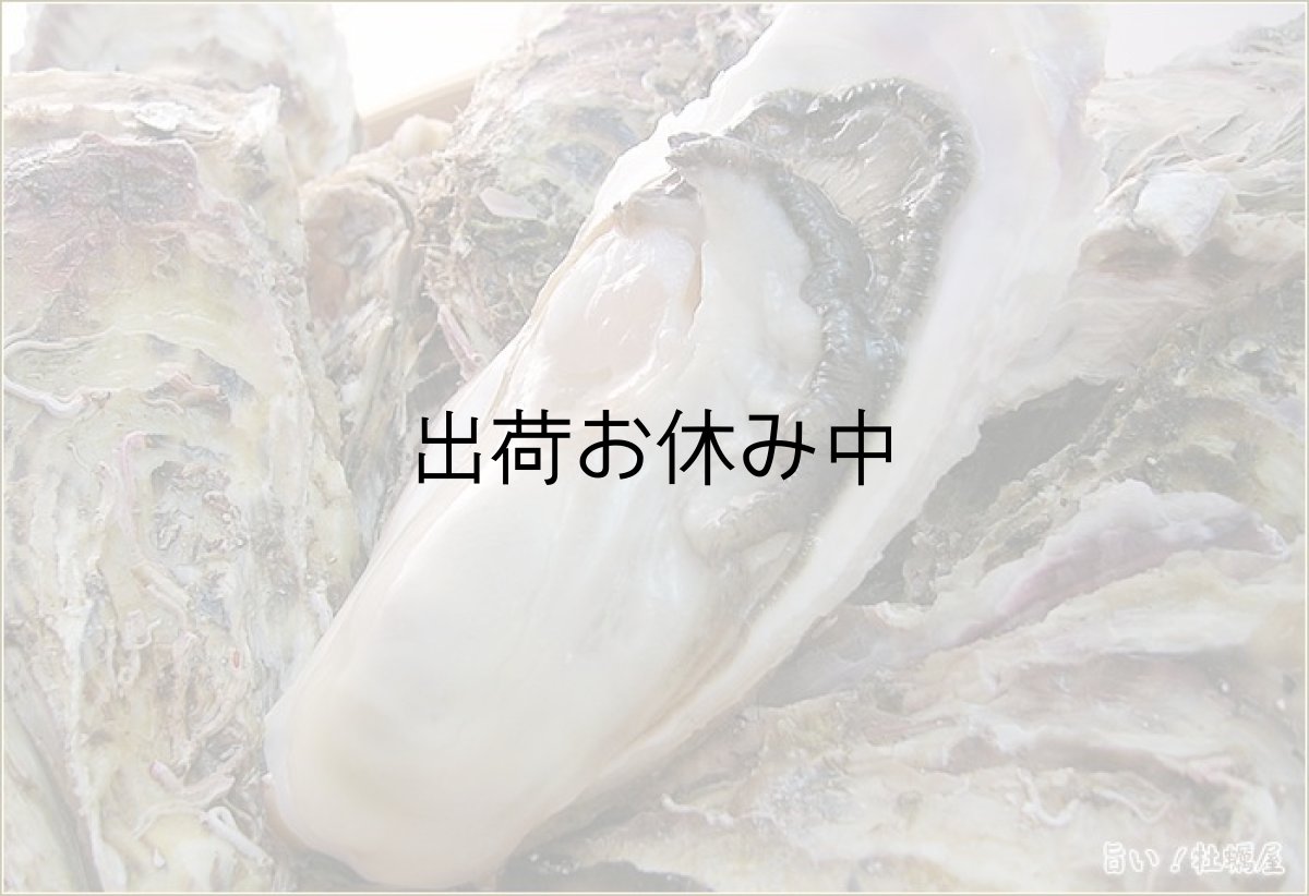 画像2: 北海道寿都産　殻付牡蠣　寿牡蠣 (2)
