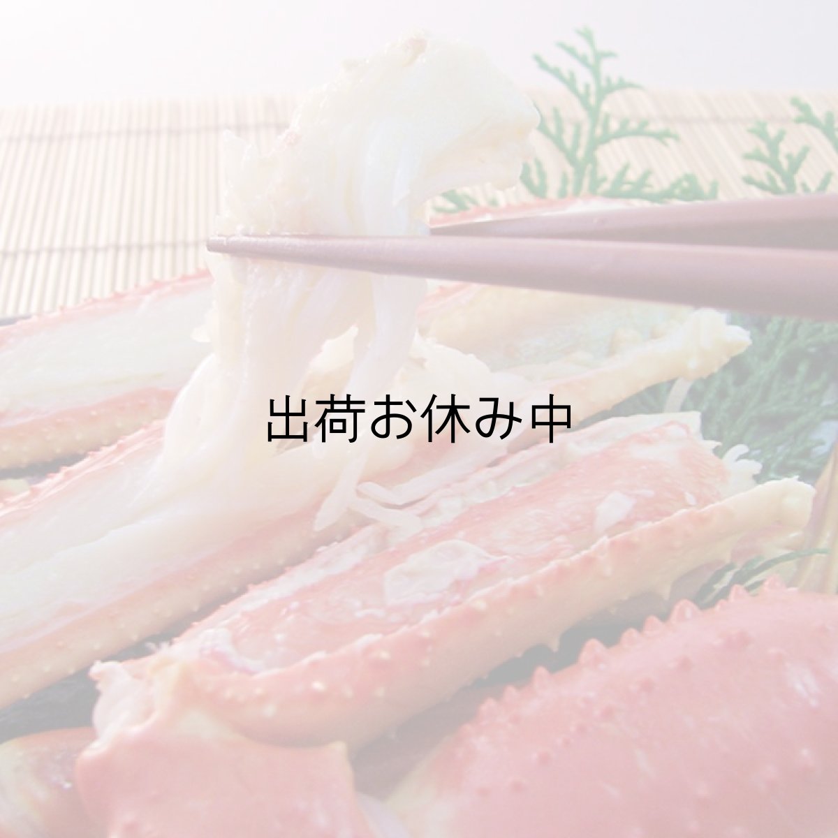 画像4: 鳥取産　松葉かに (4)