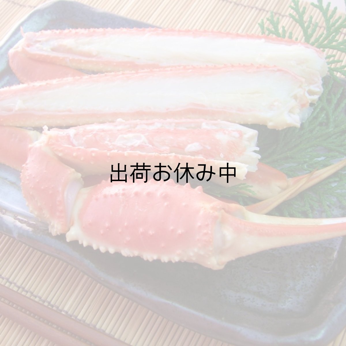 画像2: 鳥取産　松葉かに (2)