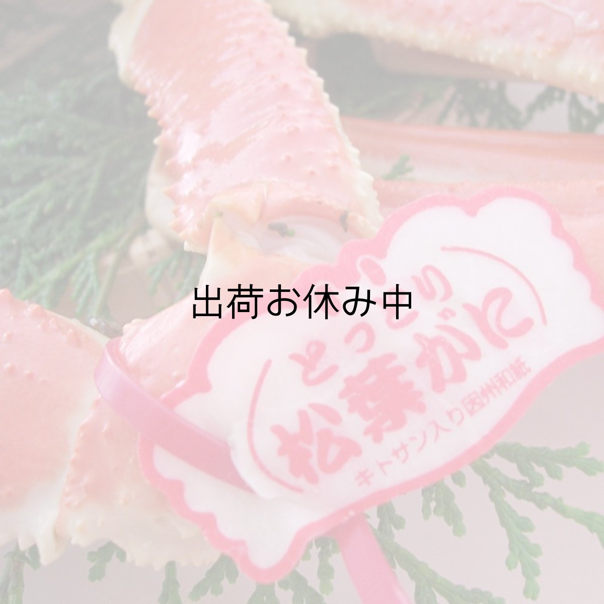 画像3: 鳥取産　松葉かに (3)