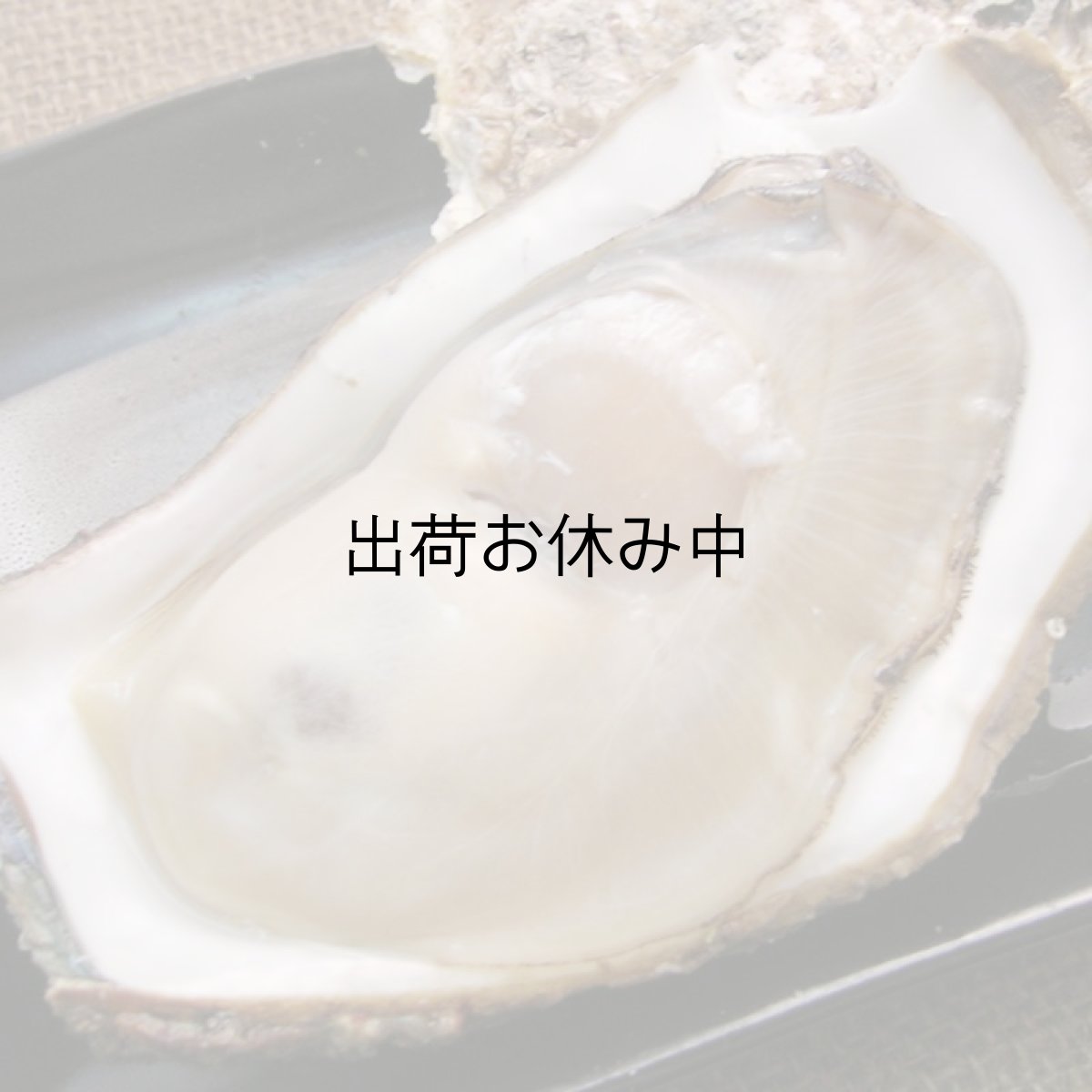 画像7: 鳥取産　天然岩牡蠣「夏輝」 (7)