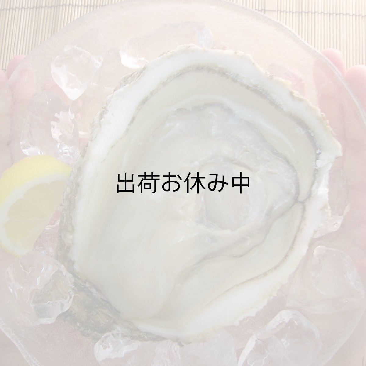 画像5: 鳥取産　天然岩牡蠣「夏輝」 (5)