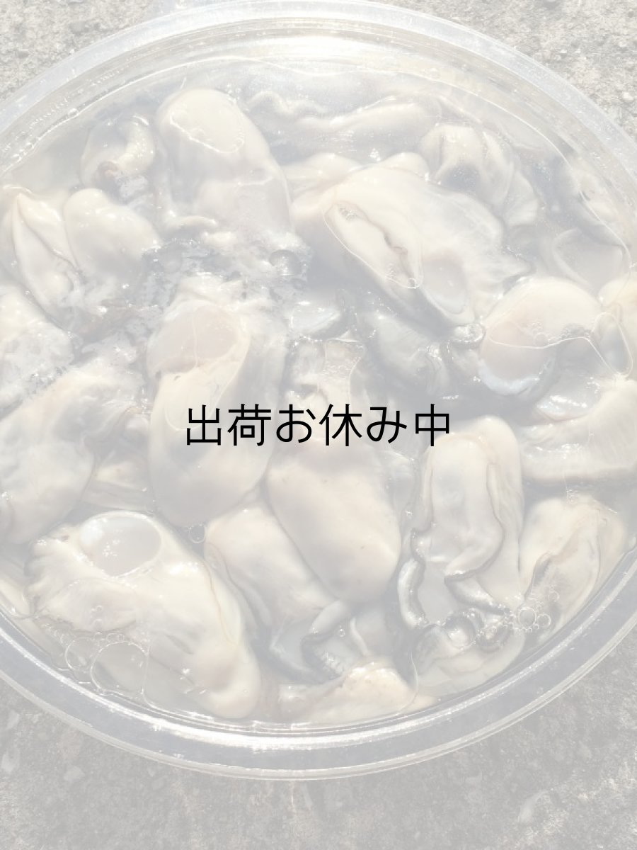 画像3: 【お急ぎ便】岡山牛窓産　むき身牡蠣　（お届け地域限定） (3)