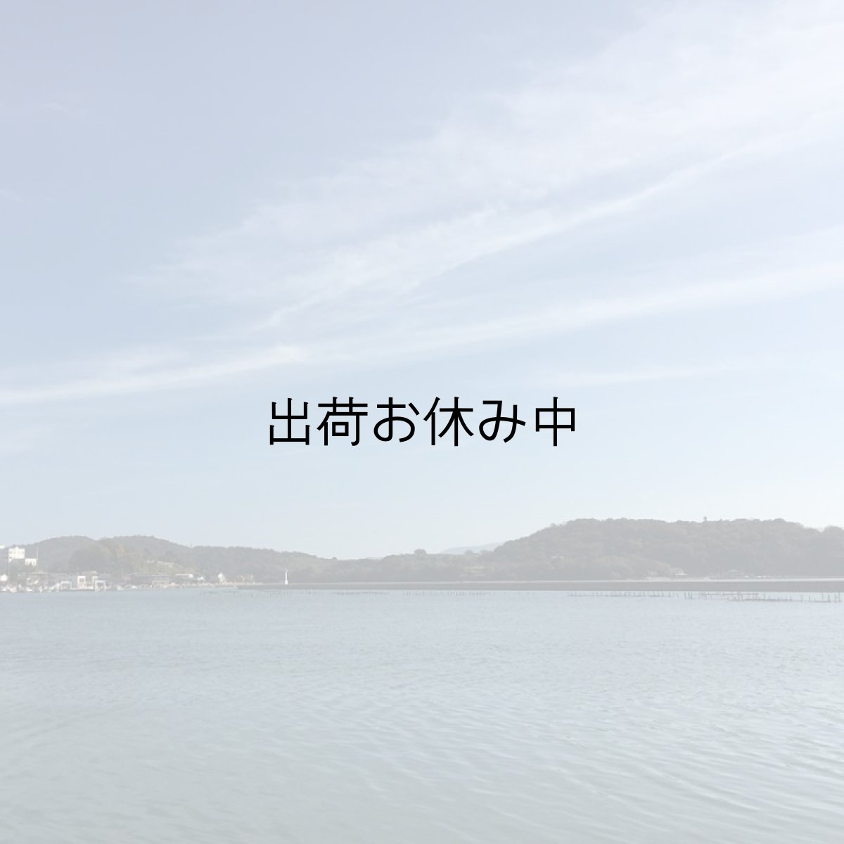画像5: 岡山牛窓産　殻付牡蠣 (5)